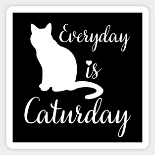 Everyday is Caturday Sticker